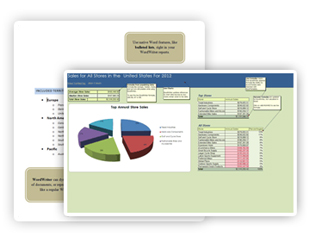 Support for enhanced Excel and Word features