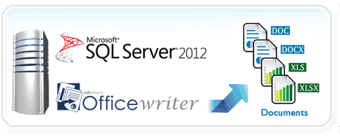 OfficeWriter API for SQL Server Reporting Services