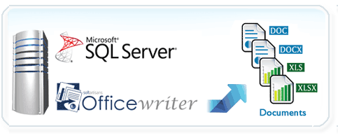 OfficeWriter API for SQL Server Reporting Services